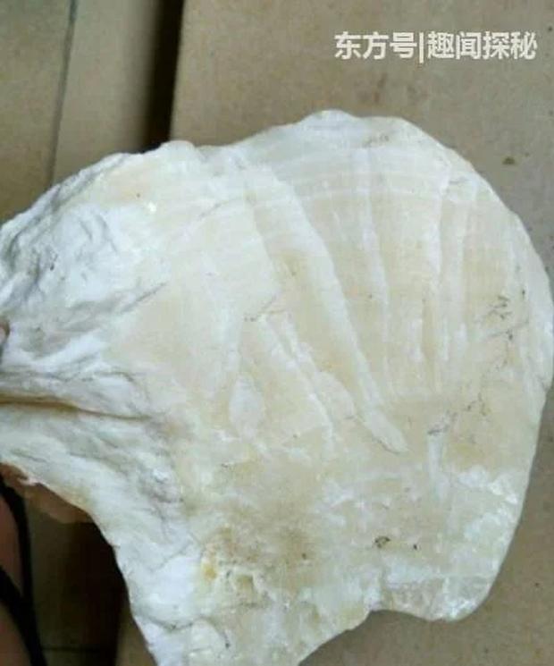 Nhặt cục đá trên bãi biển, chàng trai có luôn 350 triệu đồng-1