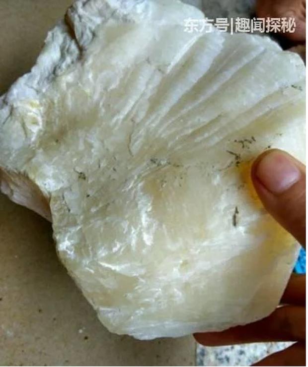 Nhặt cục đá trên bãi biển, chàng trai có luôn 350 triệu đồng-2