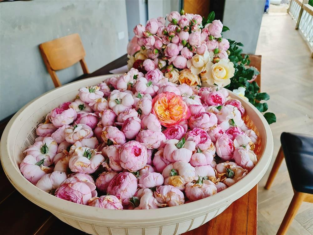 Ngây ngất hương trà hoa hồng thanh lọc mùa Tết, thử là thích mê-2