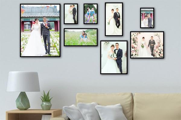 Chuyên gia lý giải vì sao Mèo đến nhà thì khó, chó đến nhà thì sang-3