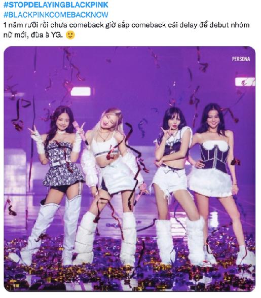 YG delay màn comeback của BlackPink để quảng bá cho nhóm nữ sắp debut-5