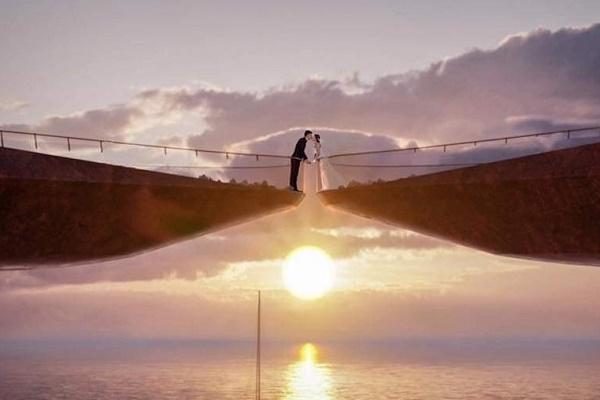 Thêm loạt ảnh về chú rùa khổng lồ đang gây náo loạn Phú Quốc-7