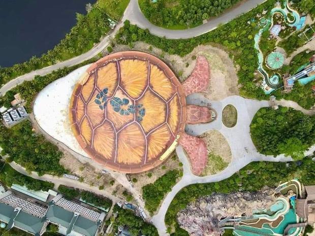 Thêm loạt ảnh về chú rùa khổng lồ đang gây náo loạn Phú Quốc-2