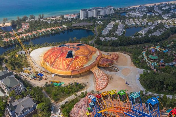 Thêm loạt ảnh về chú rùa khổng lồ đang gây náo loạn Phú Quốc-4