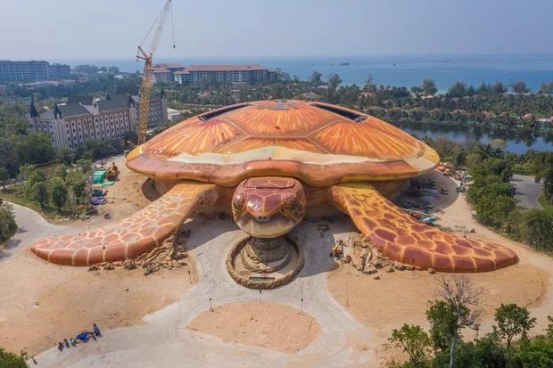 Thêm loạt ảnh về chú rùa khổng lồ đang gây náo loạn Phú Quốc-5