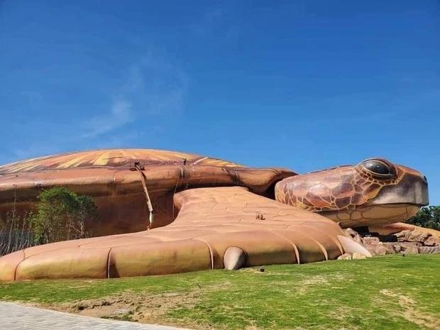 Thêm loạt ảnh về chú rùa khổng lồ đang gây náo loạn Phú Quốc-6