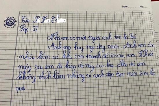 Em gái làm văn 'dập' anh trai, may sao câu chốt 'đi vào lòng người'