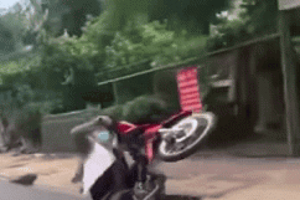 Clip: Biểu diễn bốc đầu xe, thanh niên mài người xuống đường-1