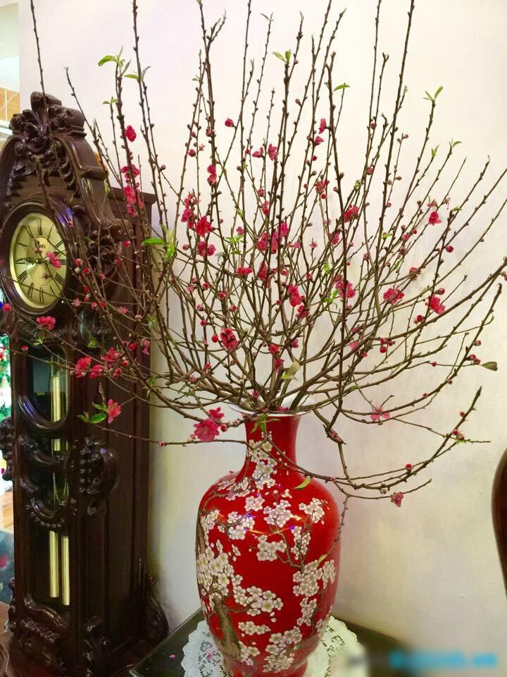 Cách đúng nhất giúp đào sai hoa, nảy lộc, tươi tốt suốt 10 ngày Tết-2