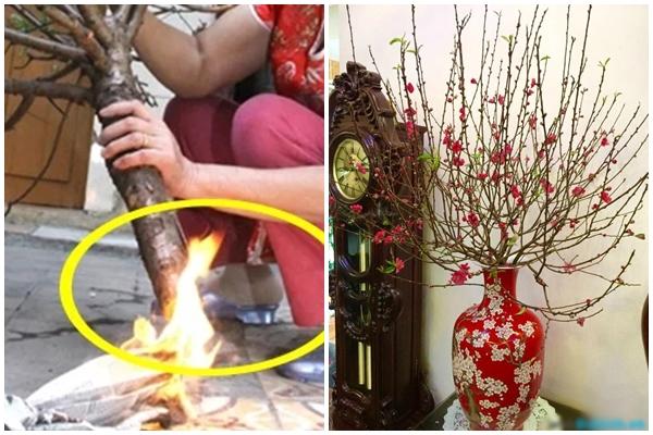 Cháu thăm nhà dịp Tết, ông hớt hải làm chuyện cả MXH cười bò-5