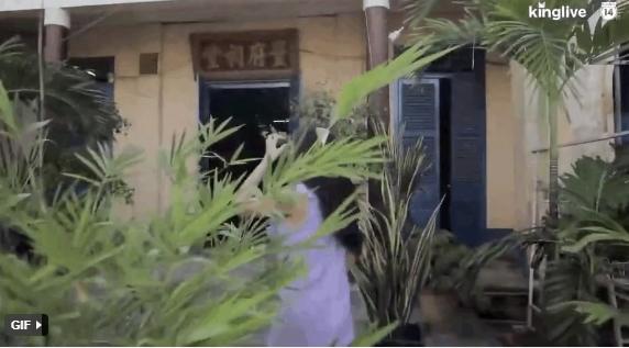 Cơ ngơi Quỳnh Thư khủng cỡ nào mà trị giá gần 800 tỷ đồng?-2