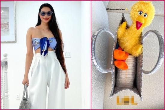 Phạm Hương trưng dụng túi hiệu gần trăm triệu làm túi bỉm sữa