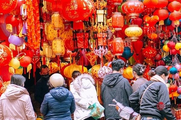 Nửa thế kỷ chăm gốc mai vàng xứ Huế, dáng cổ quái hô giá 200 triệu-15