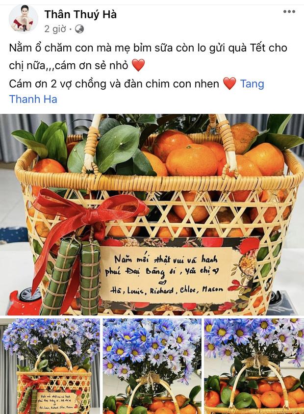 Lộ tên con thứ 3 của Louis Nguyễn - Tăng Thanh Hà-1