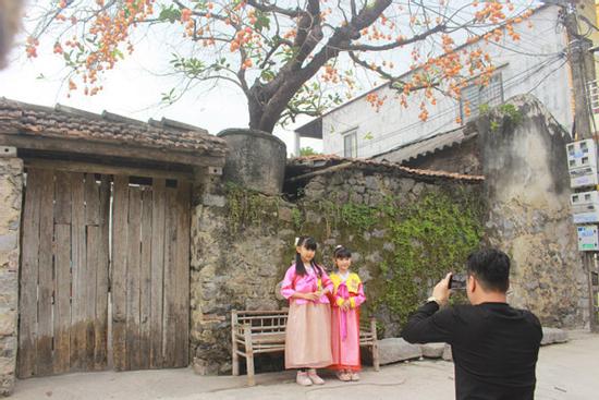 Cây hồng trăm tuổi ở Ninh Bình 'hốt bạc', dân tranh giành khách