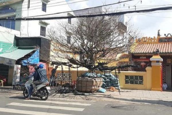 Du khách Việt du lịch Nepal, đây là cảnh tượng khó tin anh bắt gặp-1