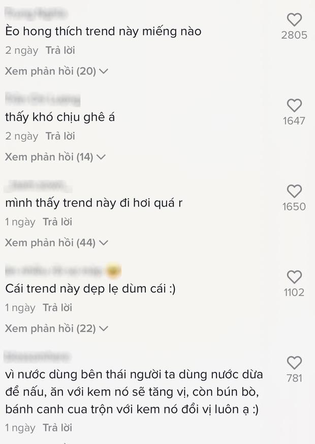 TikToker gây phẫn nộ trộn kem vào món truyền thống người Việt-4