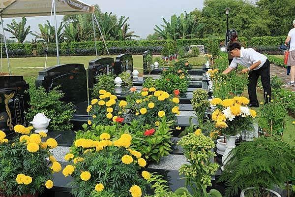 6 loại cây xua đuổi khí xấu, lôi kéo tài lộc, nhà nào cũng có 1 cây-3