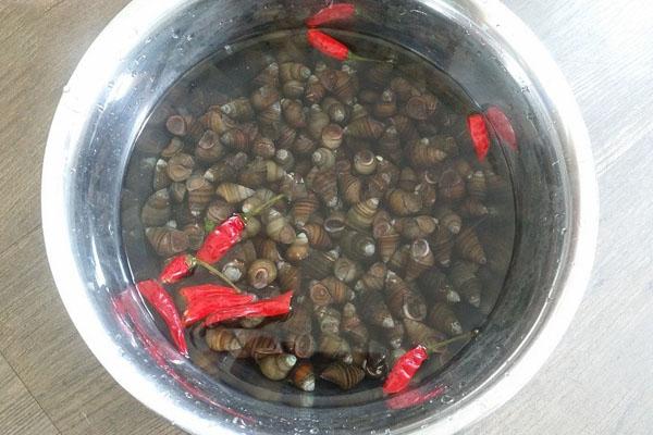 Lên mạng hỏi ngâm ốc với thìa inox làm gì, câu trả lời ngã ngửa-3