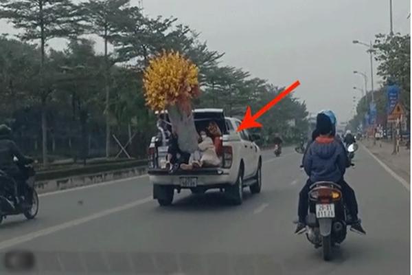 Trung tâm thương mại trang trí Tết bằng cây quýt lạ nhất Việt Nam-2