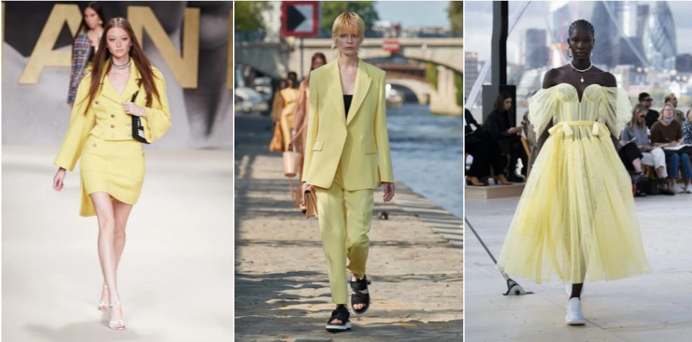 Gam màu thống trị năm 2022-5