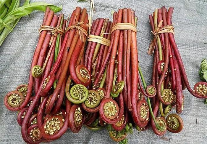 4 loại rau củ biếu không cũng đừng lấy, ăn vào nội tạng tan nát-1