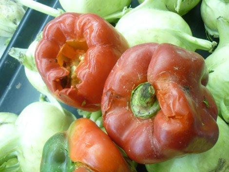 4 loại rau củ biếu không cũng đừng lấy, ăn vào nội tạng tan nát-2