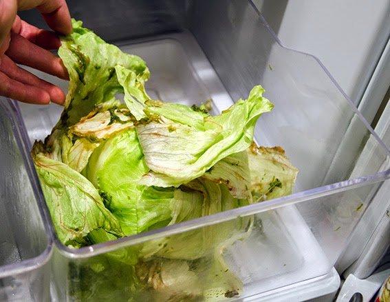 Sững sờ với trái đậu bắp to khủng khiếp mọc trong vườn nhà cô gái-4