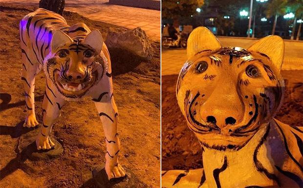 Diện mạo mới của gia đình hổ gây bão CĐM ở Bạc Liêu-3