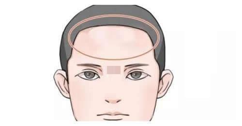 6 bộ phận càng đầy đặn càng tốt về già, con cháu vượng phát-1