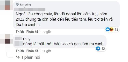 Dân mạng nổi điên khi bị Lều Phương Anh đề nghị khóa mồm-8