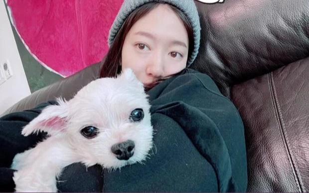 Park Shin Hye gầy sọp khi mang bầu trước ngày làm cô dâu-2