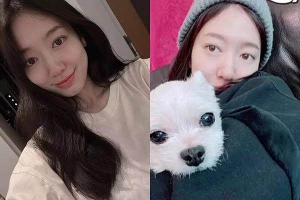 Park Shin Hye diện váy cưới bồng xòe che bụng bầu trong hôn lễ-10