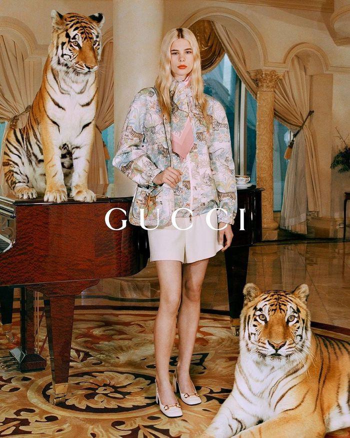 Gucci bị chỉ trích vì dùng hổ thật để quay quảng cáo-2