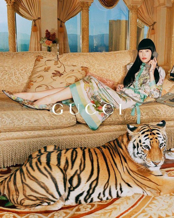 Gucci bị chỉ trích vì dùng hổ thật để quay quảng cáo-3