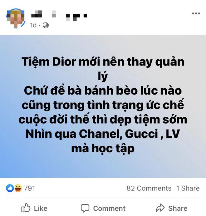Phía Dior nói gì trước drama thái độ với Hồ Ngọc Hà?-2
