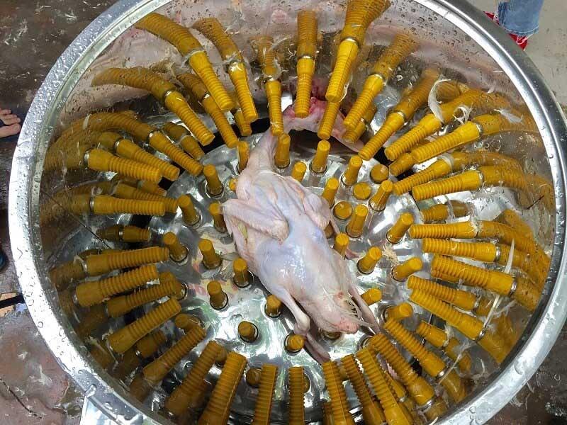 Ghim ngay 4 tuyệt chiêu nhổ lông gà cực nhanh cho ngày Tết bận rộn-2