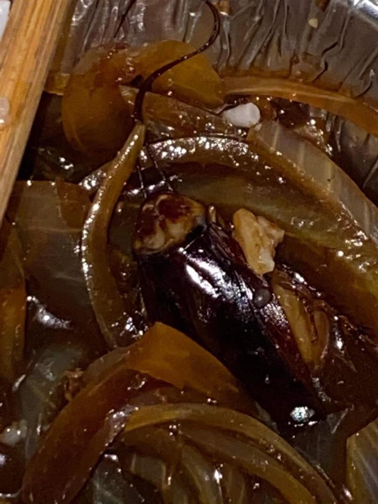 Đặt cơm online, rùng mình khi quán khuyến mãi nguyên con gián-1