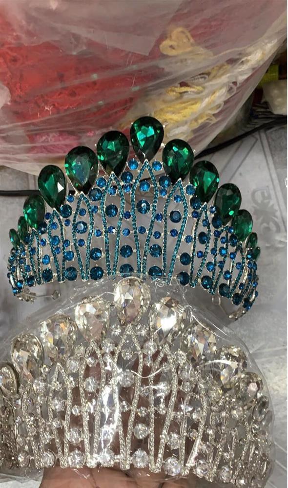 Vương miện Miss Eco Vietnam 2022 bị nghi hàng chợ giá 600 nghìn-3