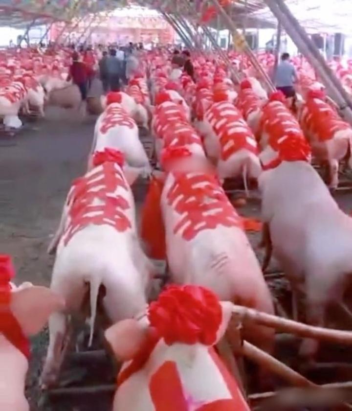 Vạn tình huống oái oăm chẳng ai ngờ sẽ xảy ra trong đám cưới-11