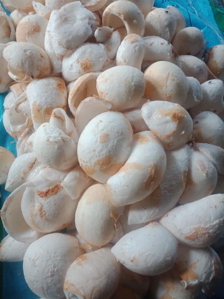 Công thức làm mứt dừa ngũ sắc cứ gọi là ngon hết nước chấm-3