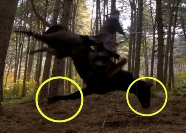 Phim cổ trang Hàn ngược đãi và làm chết ngựa, nhà đài chính thức xin lỗi-5