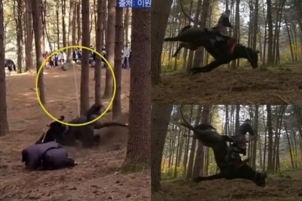 Cùng hầu hạ hoàng đế, tại sao thị vệ không bị tịnh thân như thái giám?-5