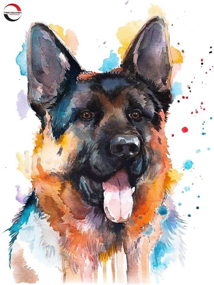 Tử vi hàng ngày 12 con giáp Chủ nhật 23/1/2022: Tý chôn quá khứ-4