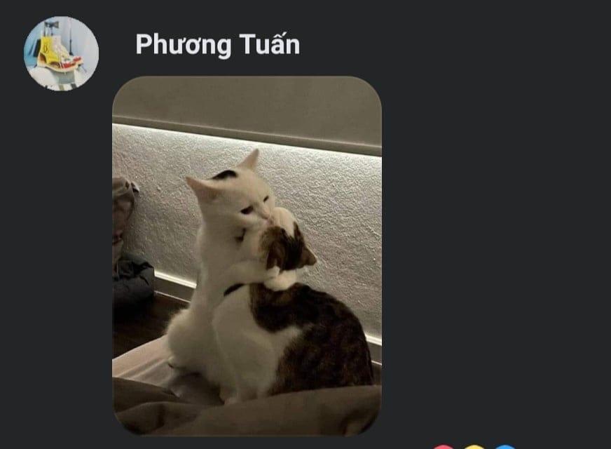 Jack bất ngờ tung demo bài mới, sắp comeback rồi chăng?-3