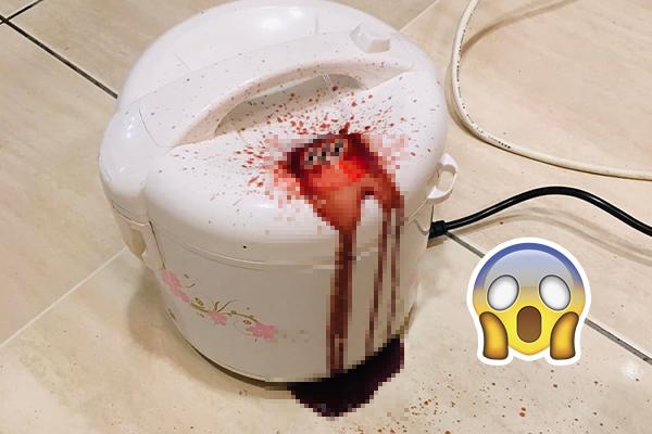 Cô gái bày mâm ngũ quả, thành phẩm gia tiên cũng không độ nổi-3