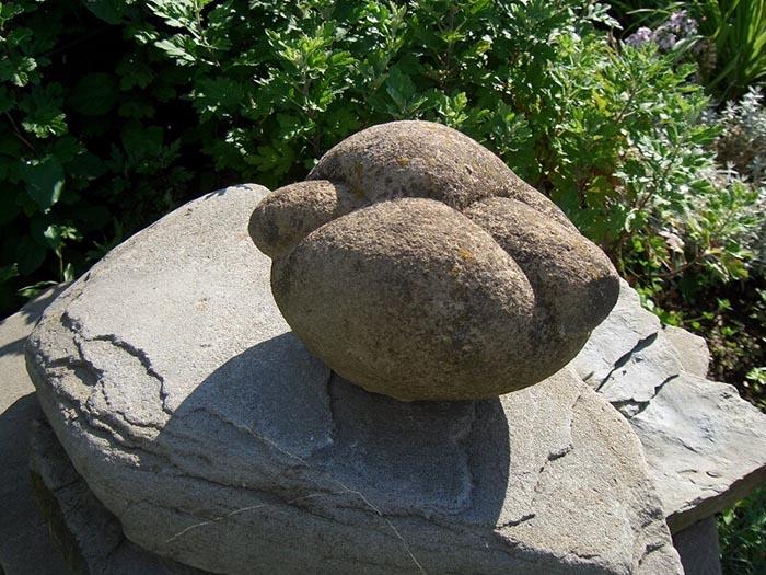 Viên đá ở ngôi làng có thể lớn dần lên và di chuyển được-3