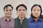 Người khẳng định không nhận lại quả Công ty Việt Á bị bắt giam-5