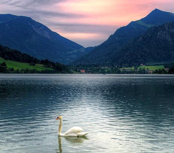 Chọn một cánh cửa để hiểu rõ hơn cách sống của chính mình-3