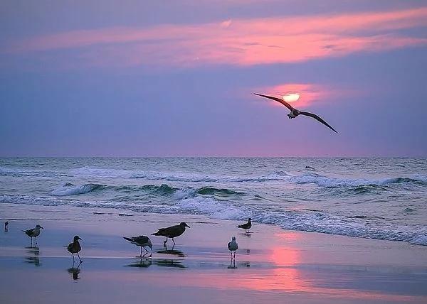 Chọn một cánh cửa để hiểu rõ hơn cách sống của chính mình-4